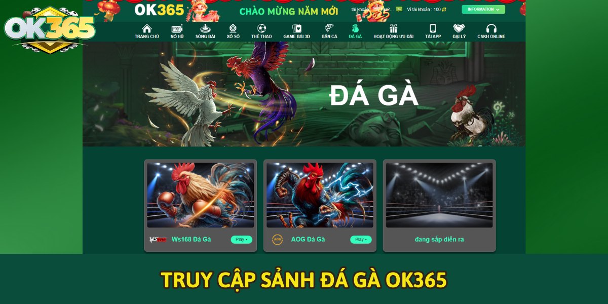 Truy cập sảnh đá gà OK365