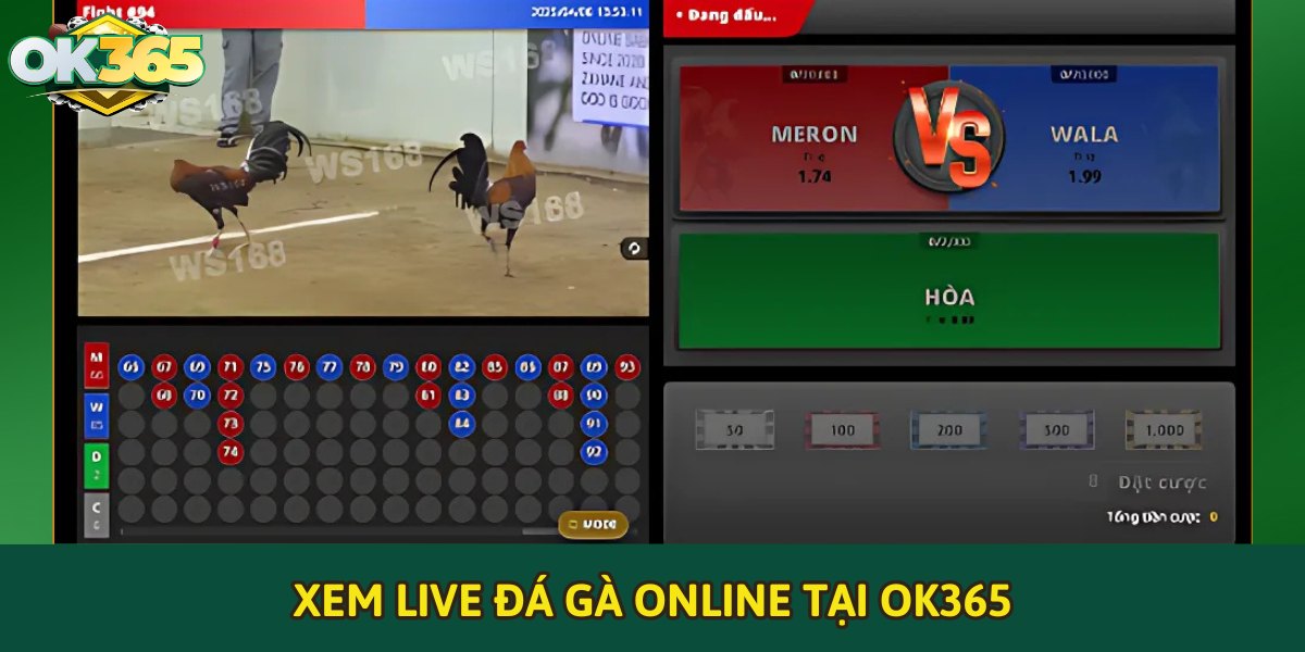 Xem live đá gà online tại OK365